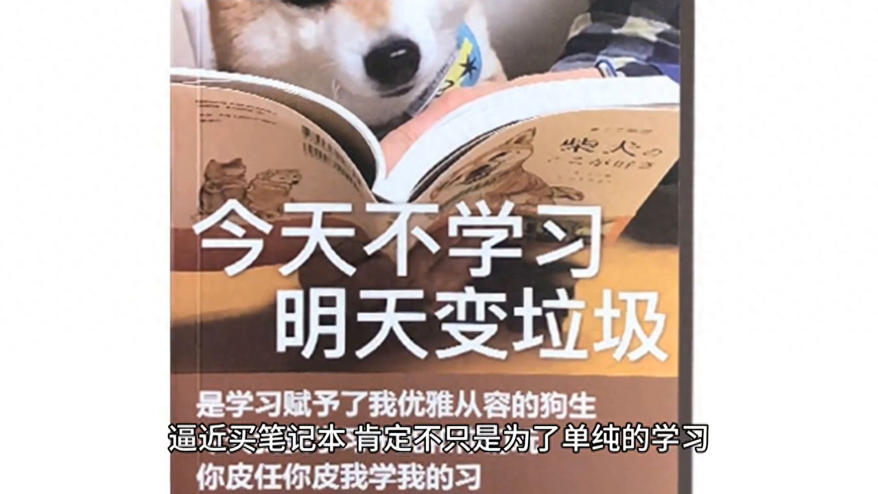 商務超極本推薦_游戲本和商務本哪個好_商務本能玩的網游